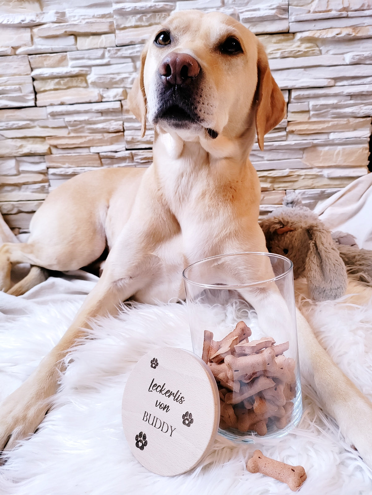 leckerli aufbewahrung hund Hundekeks Glas – Naturgravur